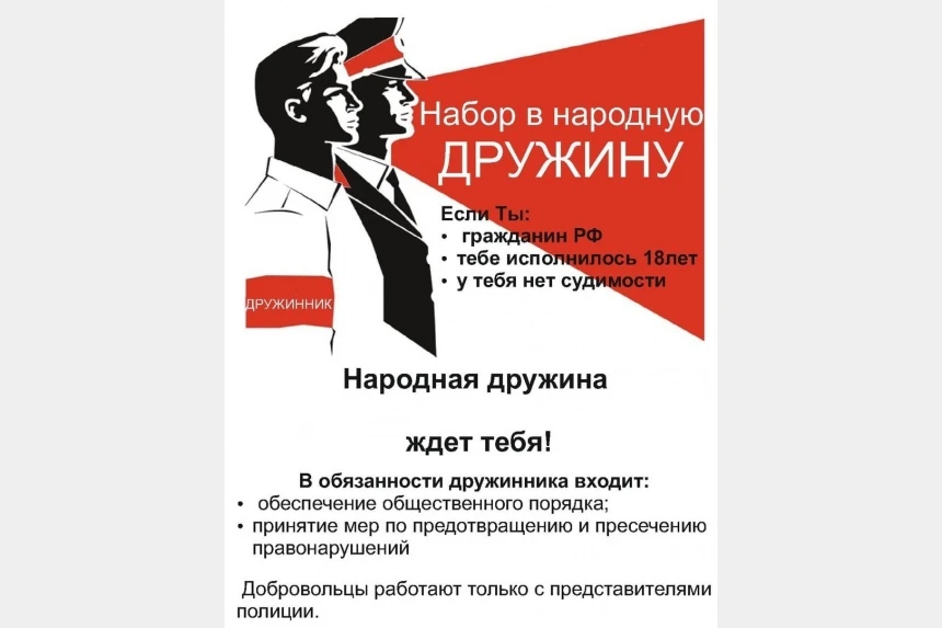 Добровольная народная дружина!